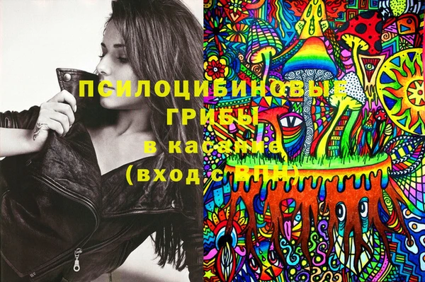 бошки Алексин