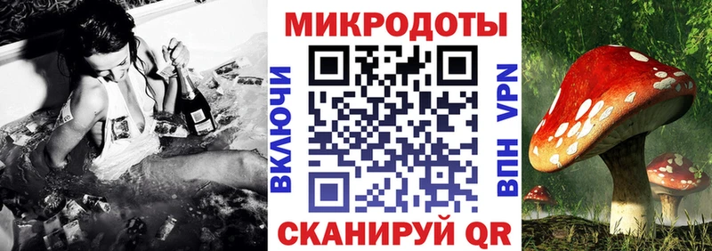 цены Белореченск Псилоцибиновые грибы Psilocybine cubensis